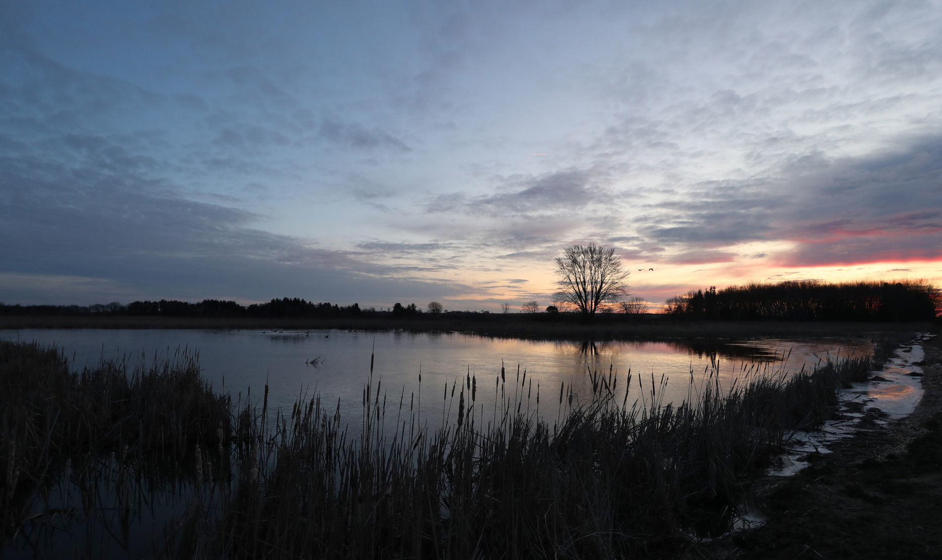 032120bp-wild-art-sweet-marsh-01